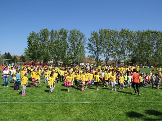 Nárcisz futás 2018 079